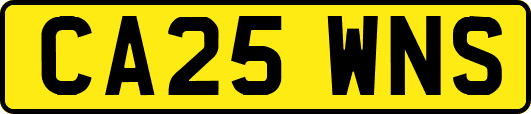 CA25WNS