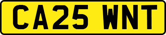 CA25WNT