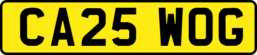 CA25WOG