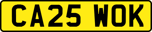 CA25WOK