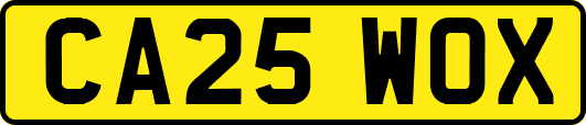 CA25WOX