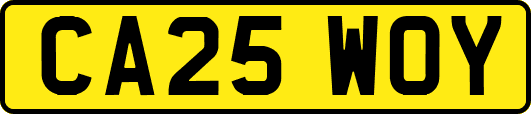 CA25WOY