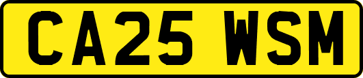 CA25WSM