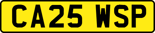 CA25WSP