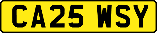 CA25WSY