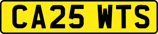 CA25WTS