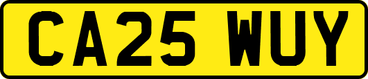 CA25WUY
