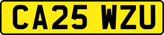 CA25WZU