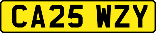 CA25WZY