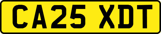 CA25XDT