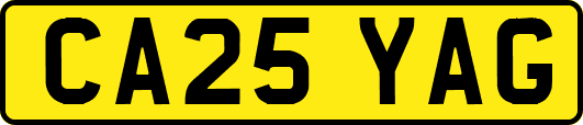 CA25YAG
