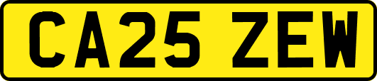 CA25ZEW