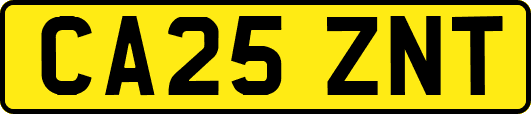 CA25ZNT