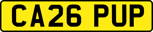 CA26PUP