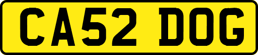 CA52DOG