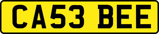 CA53BEE