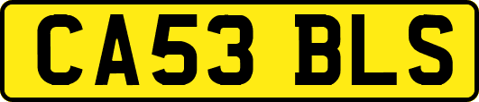 CA53BLS