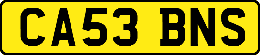 CA53BNS