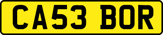 CA53BOR