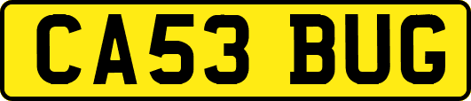 CA53BUG