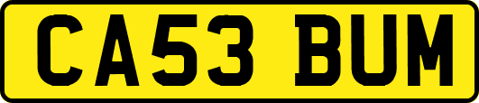 CA53BUM