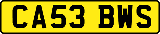 CA53BWS
