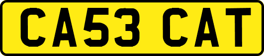 CA53CAT