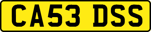 CA53DSS