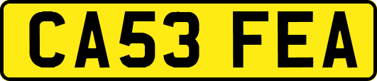 CA53FEA
