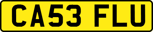 CA53FLU