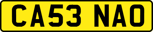 CA53NAO