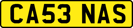CA53NAS