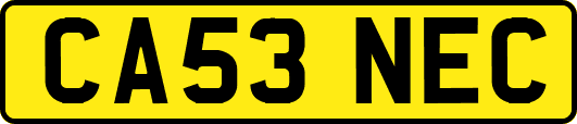 CA53NEC
