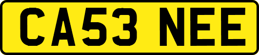 CA53NEE