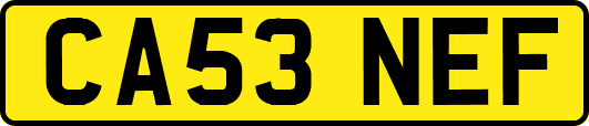 CA53NEF