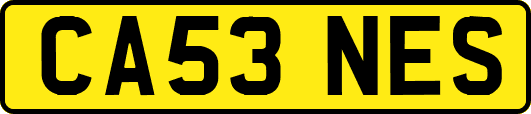 CA53NES