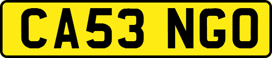 CA53NGO