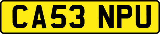 CA53NPU