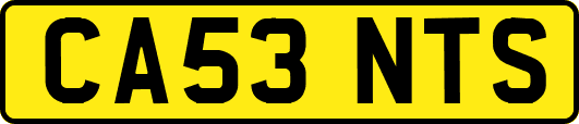 CA53NTS
