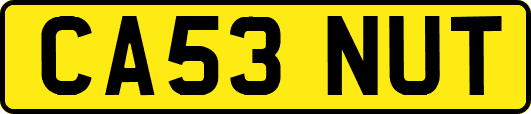 CA53NUT