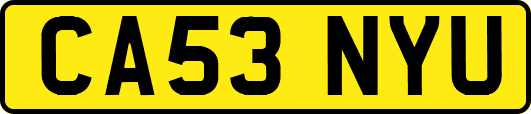 CA53NYU