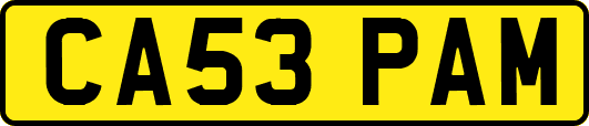 CA53PAM
