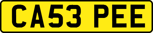 CA53PEE