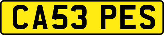 CA53PES