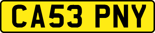 CA53PNY
