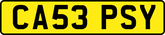 CA53PSY