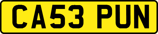 CA53PUN