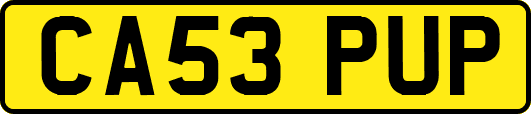 CA53PUP