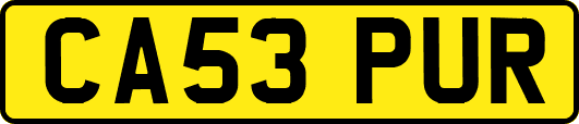CA53PUR