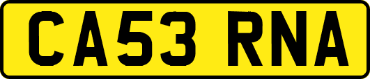 CA53RNA
